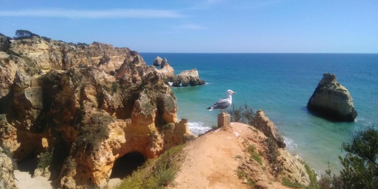 T2 de luxo em Albur-VIllage a 10 minutos da praia a pé Alvor Exterior foto